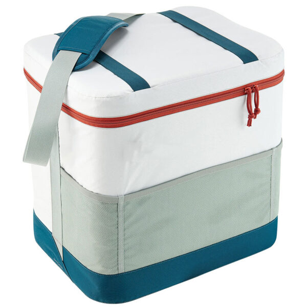 insulated cooler bag 3.1