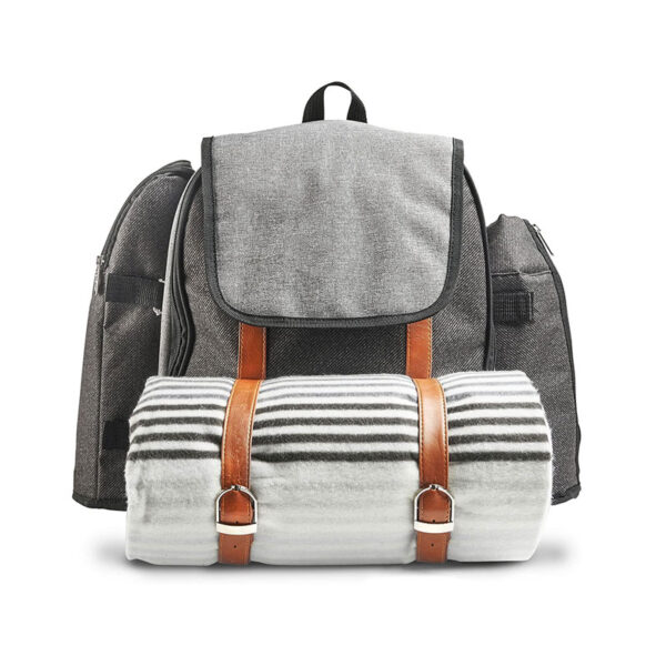 picnic backpack 2