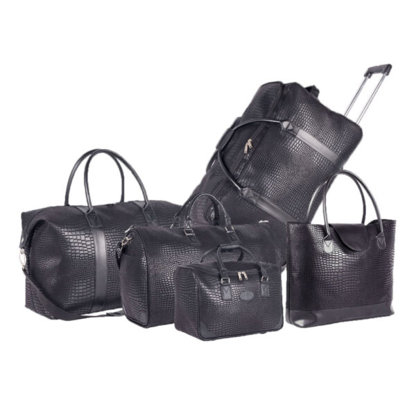 trolley bag set -2