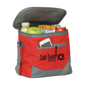 Collapsible Sided Picnic Lunch Ice Chest Cooler Bag