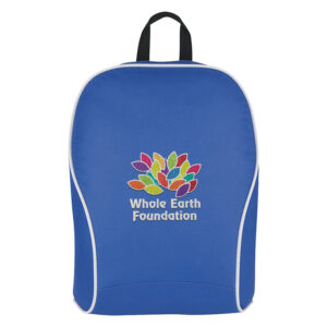 Customized Economy Backpack for Marketing and Promotion