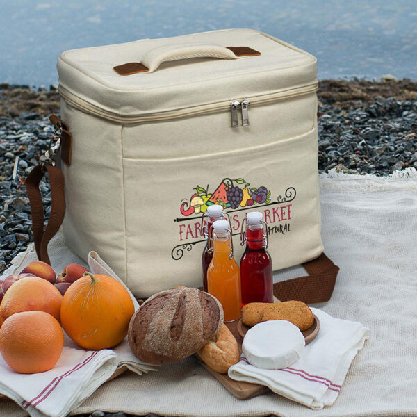 picnic cooler bag