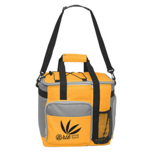 24 Cans Large Insulated Cooler Tote Bag